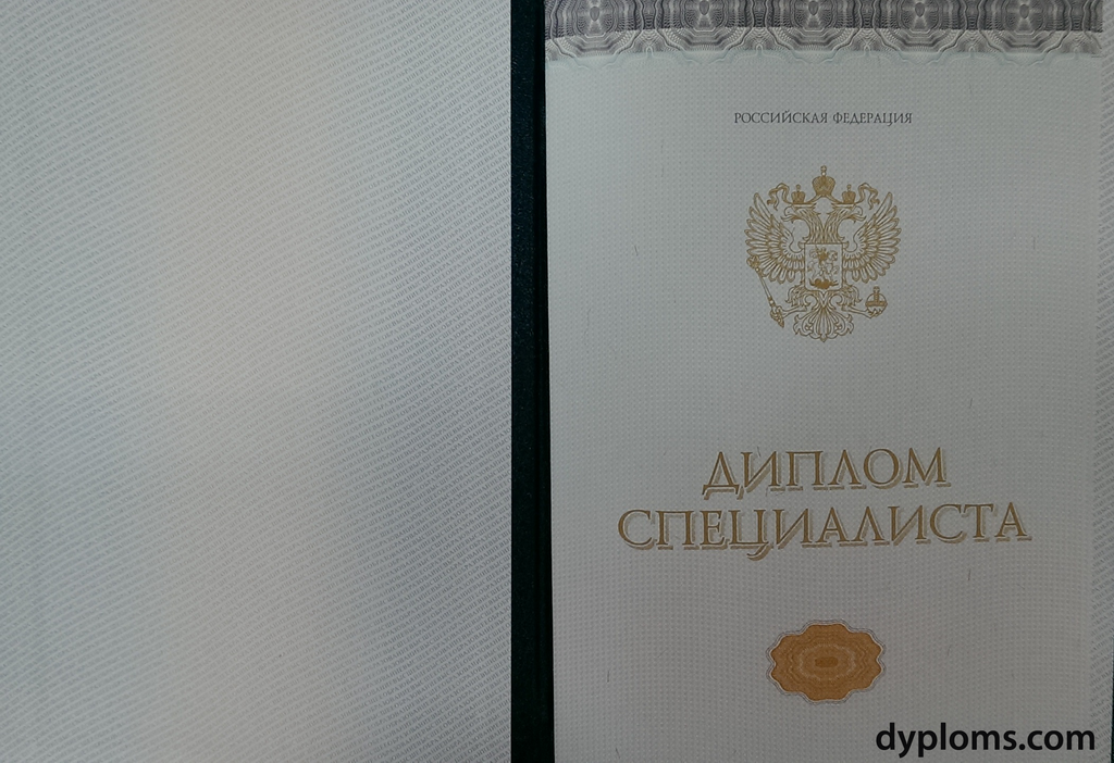 Купить диплом института как избежать проблем и составить идеальное резюме