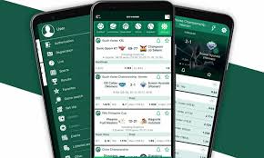 BetWinner App Your Gateway to Mobile Betting